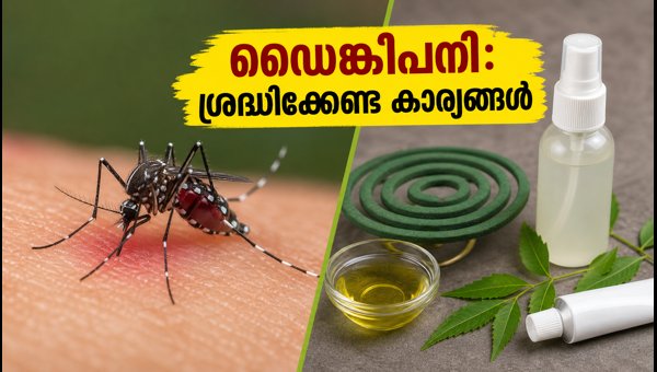Dengue Fever in Delhi: Essential Safety Guide for Using Mosquito Repellents (2026) Dengue Fever in Delhi: Essential Safety Guide for Using Mosquito Repellents (2026)