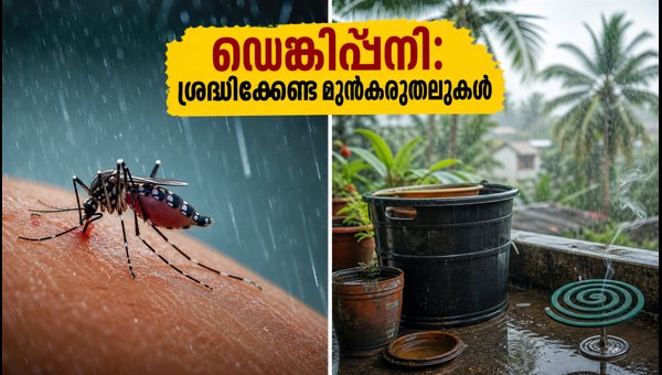 Dengue Fever Outbreak in Kerala: Essential Prevention Tips and Home Care Guide 2026