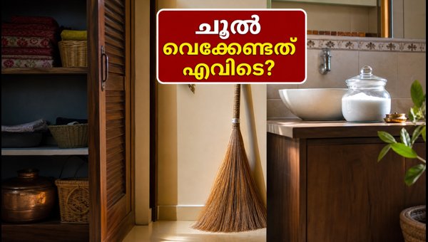 Vastu Tips for Navratri 2026: Where to Keep Your Broom and Salt for Positive Energy at Home Vastu Tips for Navratri 2026: Where to Keep Your Broom and Salt for Positive Energy at Home