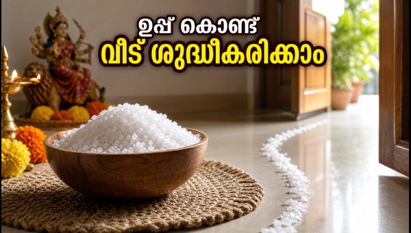 Vastu Tips for Navratri Home Cleaning: How to Use Salt to Remove Negative Energy (2026)