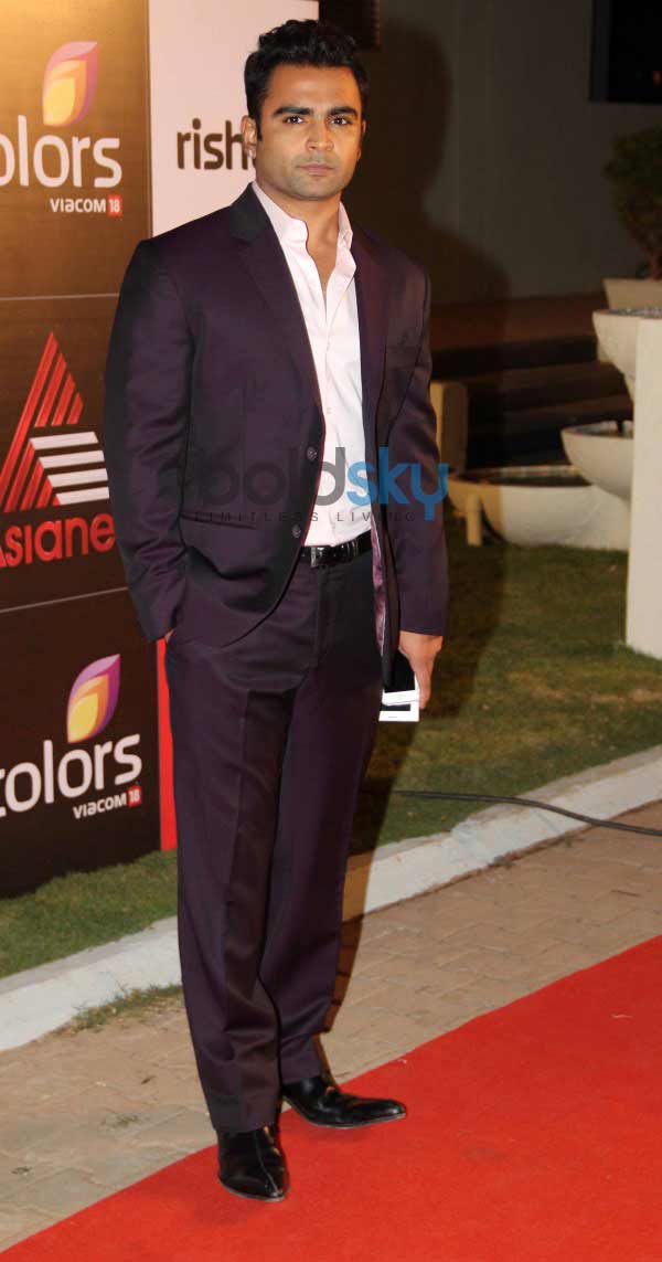Celebrity Cricket League Inaguration Red Carpet 2014