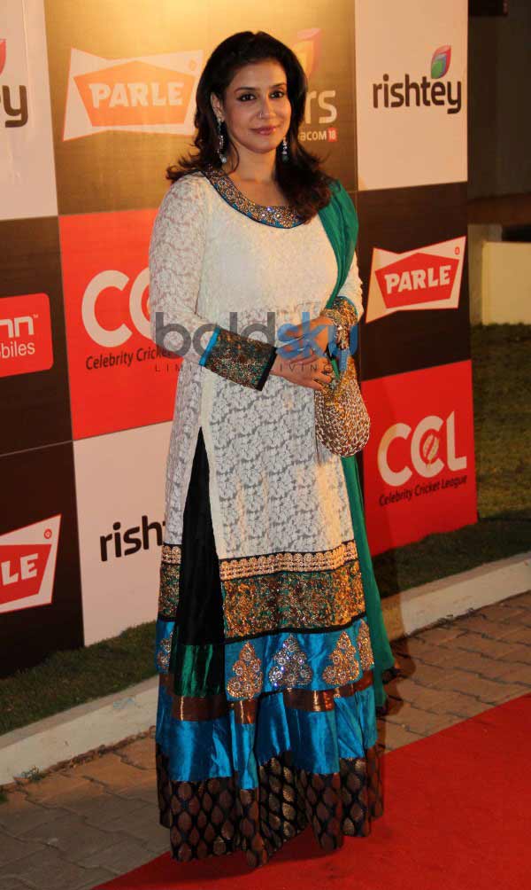 Celebrity Cricket League Inaguration Red Carpet 2014