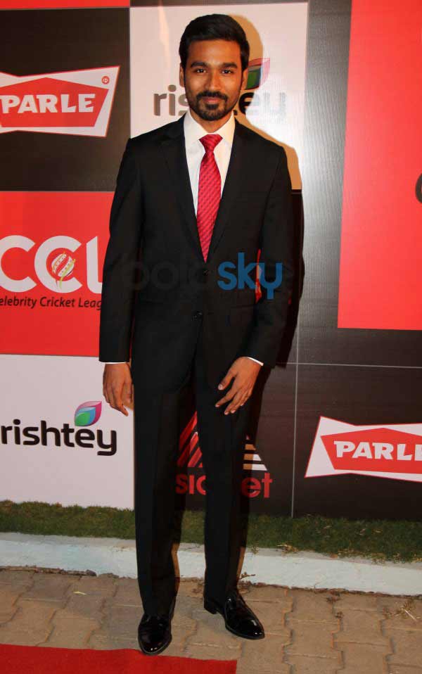 Celebrity Cricket League Inaguration Red Carpet 2014