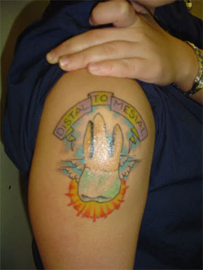 Cool Teeth Tattoo Images And Pictures!