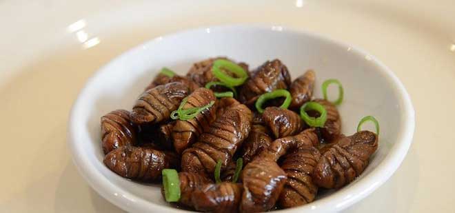 Top 10 Most Strangest Foods