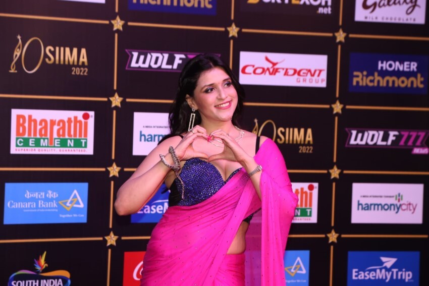 Celebs at SIIMA Awards 2022