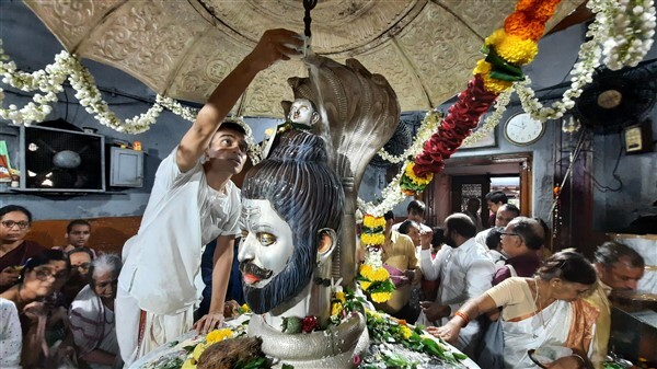 Nag Panchami 2023: Witness Nag Panchami Celebrations Echo Across the Nation
