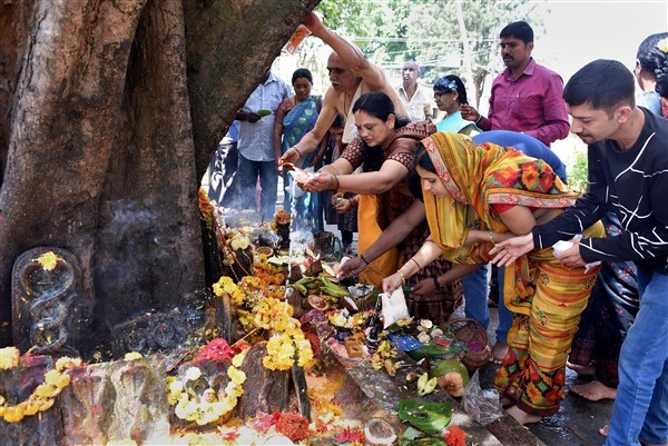 Nag Panchami 2023: Witness Nag Panchami Celebrations Echo Across the Nation