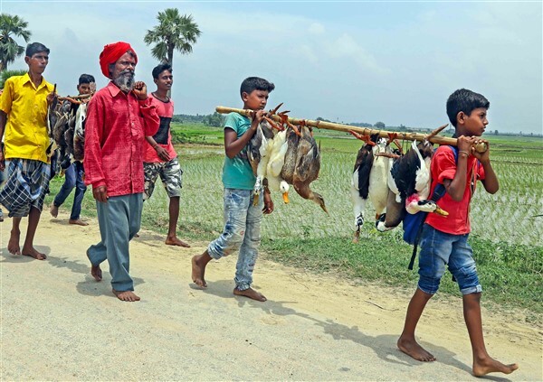 Sawan 2023: Witness the Unique Extended Celebration of Shravan This Year