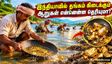 இந்தியாவில் தங்கம் கிடைத்த 3 தங்க நதிகள் என்னென்ன தெரியுமா? இந்த நதிகள் எந்த மாநிலத்தில் ஓடுது தெரியுமா?