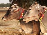 கேரள மக்கள் கெட்ட சகுனமாக நினைக்கும் சில விஷயங்கள்!
