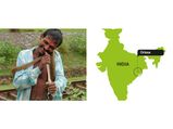 மக்கள் சமைக்காமல் பச்சையாக உண்ணும் அருவெறுக்கத்தக்க சில உயிரினங்கள்!