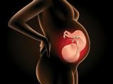 வயிற்றில் வளரும் குழந்தை புத்திசாலியாக பிறக்க வேண்டுமா?