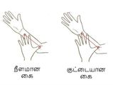 உங்க கையளவு உங்களைப் பற்றி என்ன சொல்கிறது என்று தெரிந்து கொள்ள வேண்டுமா?