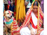 சாபத்தில் இருந்து விடுபட விலங்குகளை திருமணம் செய்து கொண்டவர்கள்!