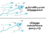 இவ்வகை உணவுகள் எப்படி உங்கள் விந்தணு எண்ணிக்கையை குறைக்கின்றன என தெரியுமா?