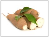 அரிய பலன்கள் தரும்  மரவள்ளிக் கிழங்கின் நன்மைகள்!!