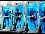 பிணத்தை பட்டாசு குப்பிக்குள் திணித்து  வெடிக்க வைக்கும் கொடூரம்! 