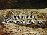 தமிழில் இருந்து களவாடப்பட்ட ஆங்கில சொற்கள்!