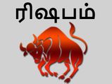 ரிஷப ராசிக்காரர்களுக்கு விளம்பி வருடம் எப்படி இருக்கப்போகிறது?... 