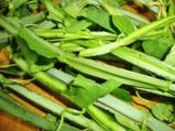 முறிந்த எலும்பையும் வேகமாக இணைத்து வைக்கும் பிரண்டை 