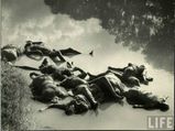 1947 இந்தியா - பாக்., பிரிவின் போது எடுக்கப்பட்ட மனதை உலுக்கும் புகைப்படங்கள்!
