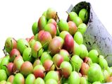 தலைமுடி நீளமாக வளரவும் முகம் சிகப்பழகு பெறவும் கலாக்காய்... எப்படி யூஸ் பண்ணணும்?