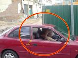 குழந்தைகள் முன் ச்சீ, ச்சீ செயலில் ஈடுபட்ட BAD மம்மீஸ் - #FunnyPhotos