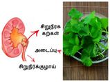 சிறுநீரக கற்களை உடனடியாக கரைக்க கூடிய இந்த கீரை பற்றி தெரியுமா..? 