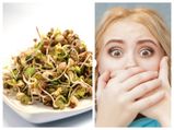 முளைக்கட்டிய தானியங்களை அப்படியே சாப்பிடாதீர்கள்! மீறி சாப்பிட்டால் ஆபத்து நிச்சயம்!