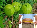 இந்த காய் தெரியுமா? இத சாப்பிட்டா வெயிட் வேகமா குறைஞ்சிடுமாம்...