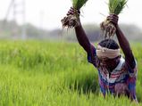 இயற்கை உணவுகளில் இருக்கும் நன்மைகள் என்ன மற்றும் அவற்றால் ஏற்படும் பாதிப்புகள் என்னென்ன தெரியுமா?