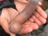 ஆண்குறி வடிவில் பீச்சில் கரை ஒதுங்கிய அரிய வகை மீன்கள்… எங்கு தெரியுமா?