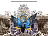 சனி பெயர்ச்சி 2020: சனி பகவானை சாந்திப்படுத்த எந்த ராசிக்காரர்கள் எந்த கோவிலுக்கு போகணும் தெரியுமா?