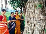 குழந்தை வரம் வேண்டுவோர் அரச மரம், வேப்ப மரத்தை ஏன் சுற்ற வேண்டும் தெரியுமா?