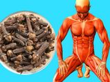 தினமும் 2 கிராம்பு சாப்பிடுவதால் உடம்புல என்னென்ன அற்புதம் நடக்கும்-ன்னு தெரியுமா?