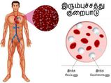 உங்க தலைமுறைக்கே இரத்த சோகை வராமல் இருக்கணுமா? அப்ப இந்த விதையை சாப்பிடுங்க...! 