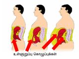 வயிற்றில் உள்ள கொழுப்பைக் கரைக்க காலையில் குடிக்க வேண்டிய பானங்கள்!