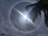 Sun Halo: வானில் நிகழ்ந்த பெரிய அதிசயம்: சூரியனை சுற்றி காணப்பட்ட ஒளிவட்டம்.. இதற்கு என்ன காரணம் தெரியுமா? 