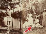 நடக்கும் மரம் முதல் கொதிக்கும் நதி வரை அமேசான் காடுகளின் பயமுறுத்தும் ரகசியங்கள்... ஷாக் ஆகாம படிங்க...! 