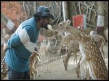 இந்த 5 ராசிக்காரங்க உலகம் சுற்றும் வாலிபராக இருப்பார்கள்...இவங்க வாழ்க்கைய அனுபவிக்க பிறந்தவங்களாம்! 