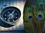 New Year 2023 Vastu Tips: புத்தாண்டு அன்று இந்த பொருட்களை வீட்டிற்கு கொண்டு வந்தால் செல்வம் பெருகுமாம்...