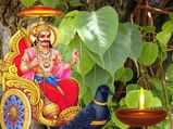 சனி பகவானின் பரிபூர்ண அருளைப் பெற வேண்டுமா? அப்ப சனிக்கிழமைகளில் இத செய்யுங்க...