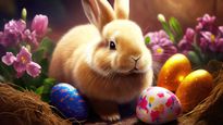 Easter 2023: ஈஸ்டர் எதனால் கொண்டாடப்படுகிறது? ஈஸ்டர் பற்றி பலரும் அறியாத சில முக்கிய விஷயங்கள்!