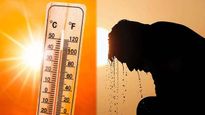 Heatwave: வெப்ப அலை நாட்களில் ஒருவர் செய்ய வேண்டியவை மற்றும் செய்யகூடாதவைகள்!