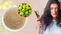 உங்களுக்கு முடி கொட்டாம இருக்கணுமா? அப்ப 'இந்த' இரண்டு பொருள் கலந்த பேஸ் பேக்கை யூஸ் பண்ணுங்க!