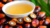 உங்க வீட்டில் பாமாயிலில் சமையல் செய்யுறாங்களா? அப்ப இந்த விஷயங்களை முதலில் அவங்ககிட்ட சொல்லுங்க...! 