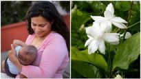 தாய்ப்பால் சுரப்பை கட்டுப்படுத்த வேண்டுமா? அப்ப மல்லிகை பூவை இப்படி யூஸ் பண்ணுங்க...