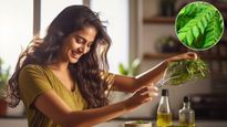Curry Leaves For Hair: பனை மரம் மாதிரி முடி நீளமா வளரணுமா? அப்ப கறிவேப்பிலையை இப்படி யூஸ் பண்ணுங்க!