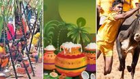 காணும் பொங்கல் பண்டிகை ஏன் பெண்களுக்கு முக்கியமானது? அதுக்கு என்ன காரணம் தெரியுமா? 